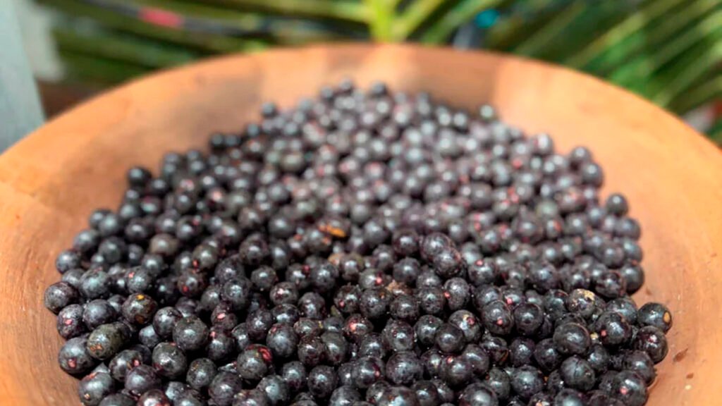 Açaí "in natura" na Ygara Artesanal, na Ilha do Combú.