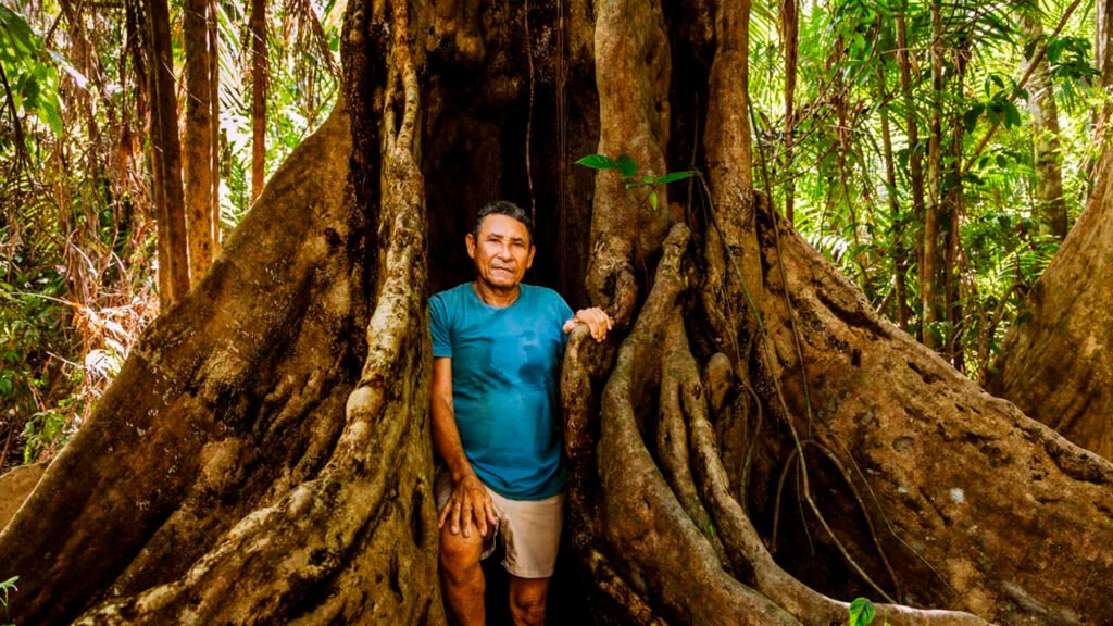 Homem próximo à árvore gigante amazônica no Canto dos Pássaros na Ilha do Combú