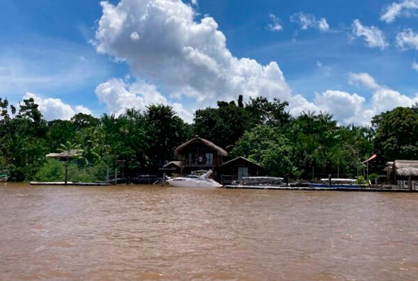 Vista da Ilha do Combú do meio do rio Guamá