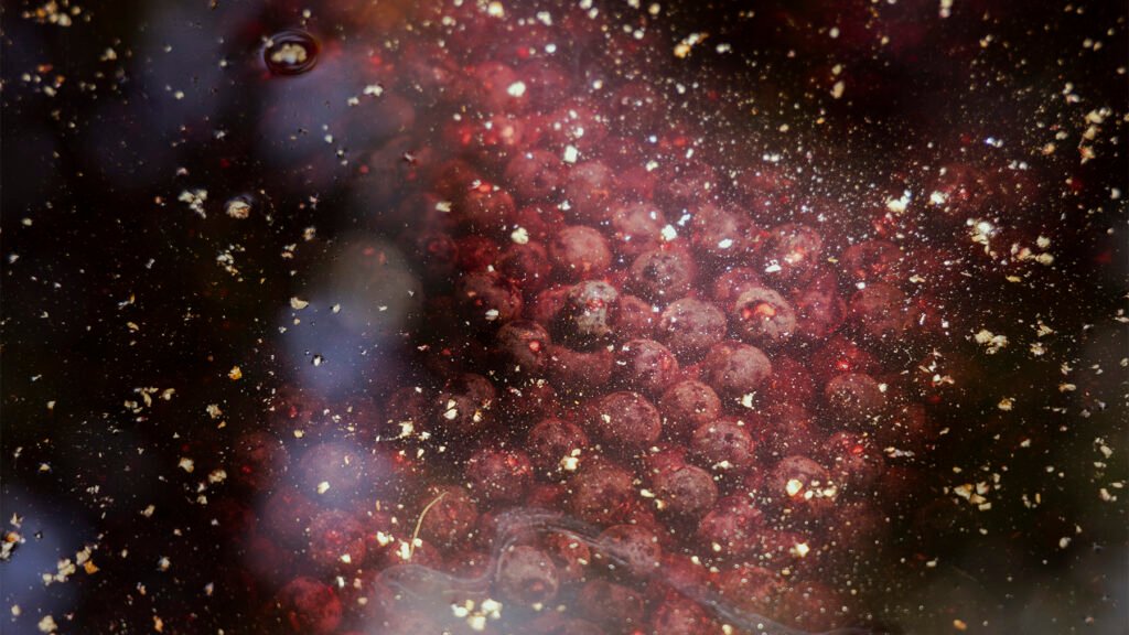 Lavagem do açaí na Ilha do Combú